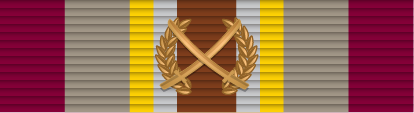 File:07 - Swords Cross with Laurel Wreath.png
