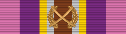 File:09 - Cross of Courage with Laurel Wreath.png