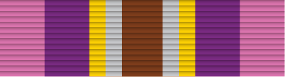 File:15 - Gold Cross of Courage.png