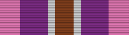File:18 - Silver Cross of Courage.png