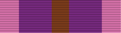 File:21 - Bronze Cross of Courage.png
