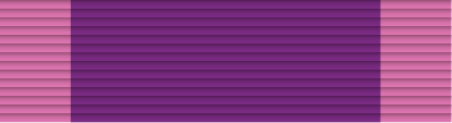 File:24 - Steel Cross of Courage.png