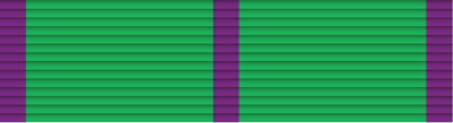 File:30 - Grayson Military Achievement Medal.png
