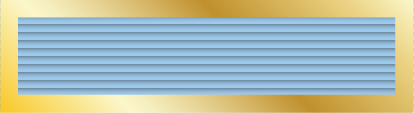 File:31 - Protectors Unit Citation for Gallantry.png