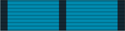 File:33 - Battle Efficiency Medal.png