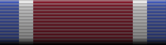 File:41 - Armed Forces Service Medal.png