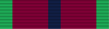 File:43 - Champion Shots Medal.png