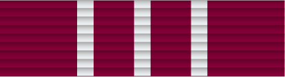File:44 - Distinquished Weapons Medal Qualification Medal.png