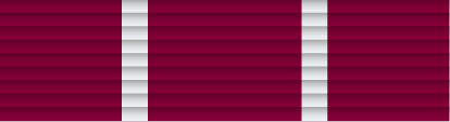 File:45 - Weapons Medal Qualification Medal.png