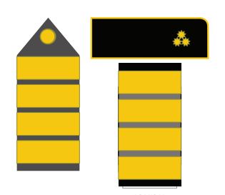 File:ACS-C20.png