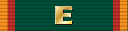 File:Army Regimental Excellence Award IFE Ribbon.png