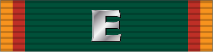 File:Army Regimental Excellence Award OFA Ribbon.png