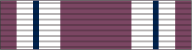 File:Astro Control Junction Defense Medal.png