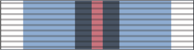 File:Astro Control Junction Service Medal.png