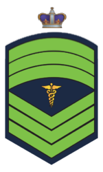 File:C10MedMod.png