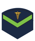 C4MedMod.png