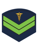 C5MedMod.png
