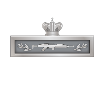 File:CIB.png