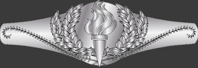 File:CivPin-ASM.png