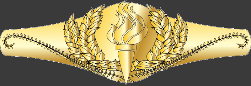 File:CivPin-CSM.png