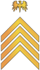 Exis.png