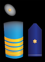 File:F1g.png