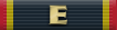 Fleet Excellence Award in Gold (Ribbon).png