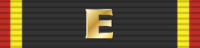 File:Fleet excellence award (ribbon) (gold).png
