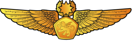 File:RMN Master Aerospace Wings Officer.png