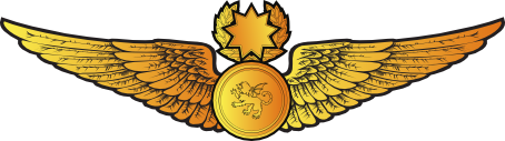 File:RMN Master Observer Wings Officer.png