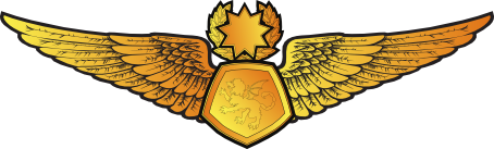 File:RMN Master Simulator Wings Officer.png