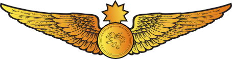 File:RMN Senior Observer Wings Officer.png