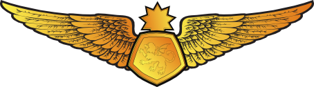 File:RMN Senior Simulator Wings Officer.png