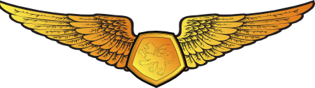 File:RMN Simulator Wings Officer.png