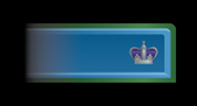 W1a1.png