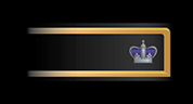 File:W1n1.png