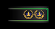 W4m1.png
