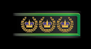 W5m1.png