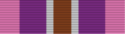 18 - Silver Cross of Courage.png