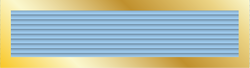 31 - Protectors Unit Citation for Gallantry.png