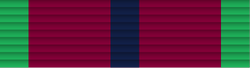 43 - Champion Shots Medal.png