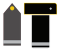 ACS-C11.png