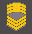 ACS-C9.png