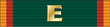 Army Regimental Excellence Award IFE Ribbon.png