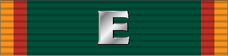Army Regimental Excellence Award OFA Ribbon.png