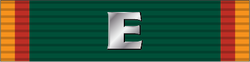 Army Regimental Excellence Award OFA Ribbon.png