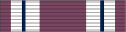 Astro Control Junction Defense Medal.png