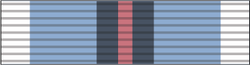 Astro Control Junction Service Medal.png