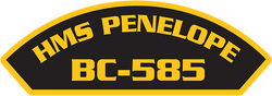 BC585Flash.png