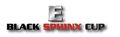 BSC Logo.jpg
